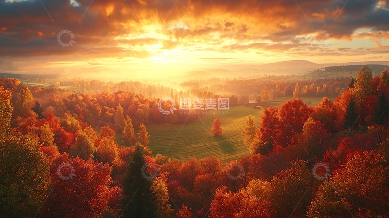 高清大图下载【趣麦麦图】秋日森林日出