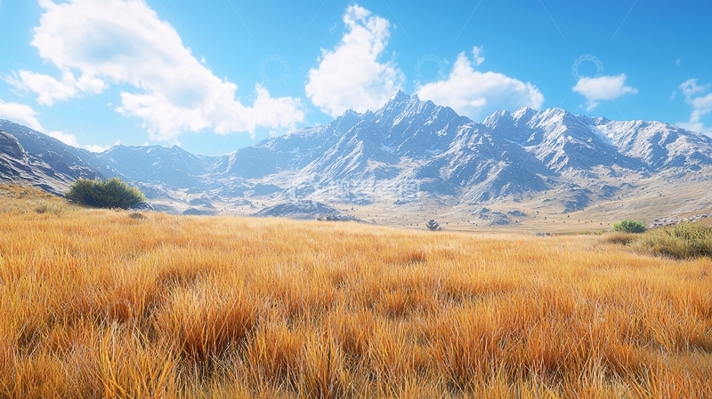 高清大图下载【趣麦麦图】阳光下金黄草原与雪山