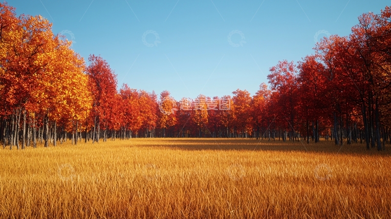 高清大图下载【趣麦麦图】秋日森林金色草原
