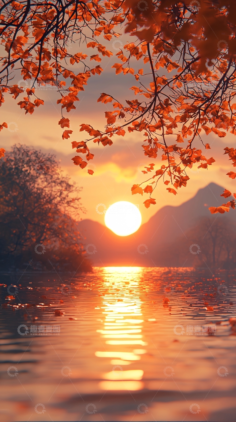 高清大图下载【趣麦麦图】秋日落日湖边枫叶