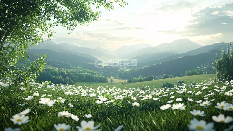 高清大图下载【趣麦麦图】山间花海