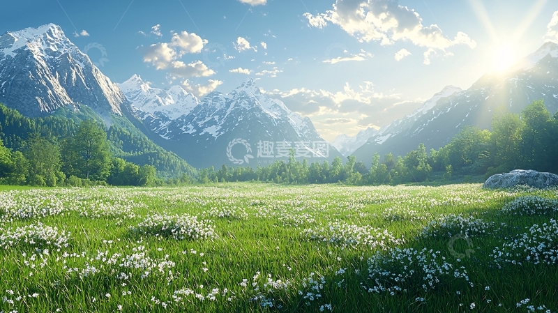 高清大图下载【趣麦麦图】阳光下的雪山草地