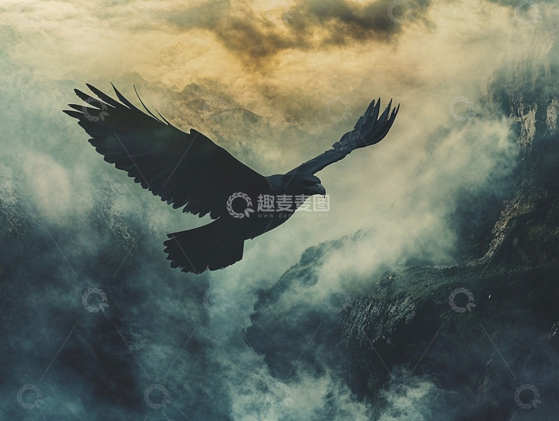 高清大图下载【趣麦麦图】乌云中飞翔的雄鹰
