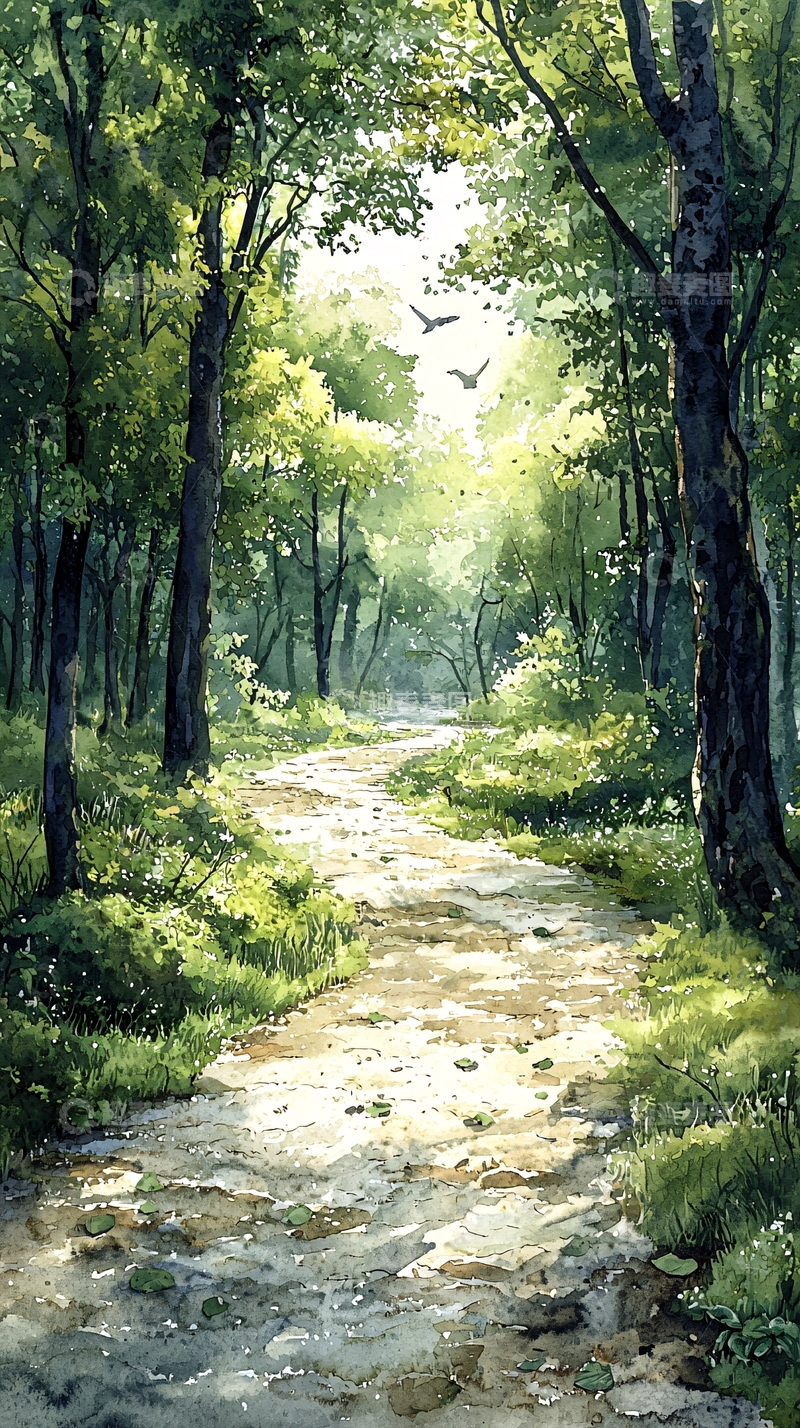 高清大图下载【趣麦麦图】阳光森林小路