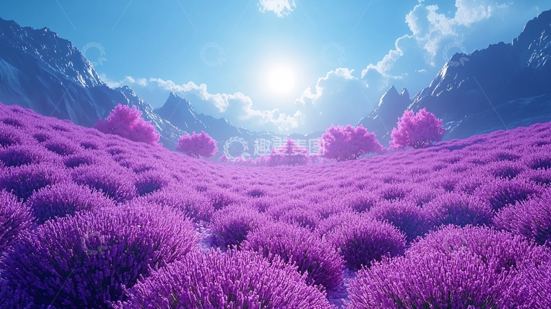 高清大图下载【趣麦麦图】梦幻薰衣草花田