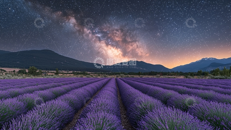 高清大图下载【趣麦麦图】星空下的薰衣草田