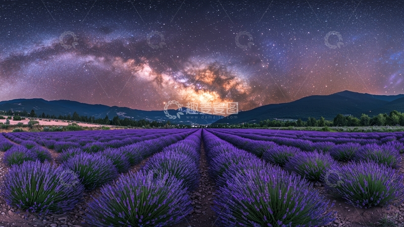 高清大图下载【趣麦麦图】星空下的薰衣草田