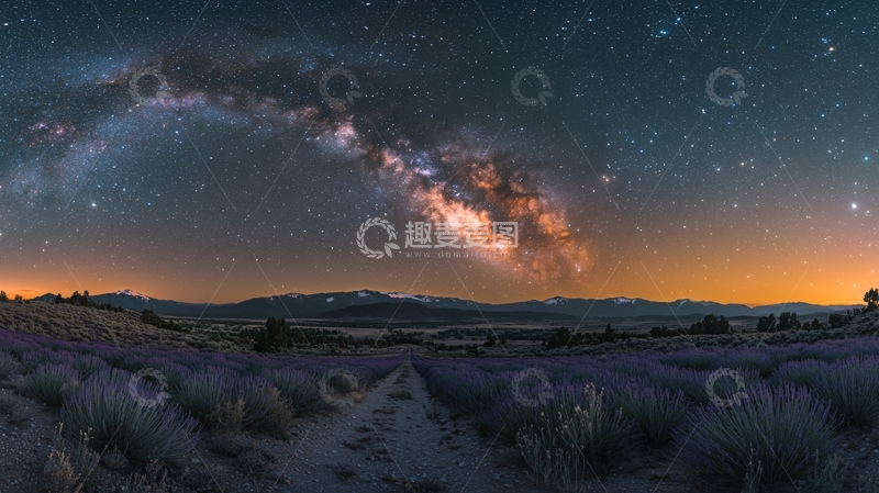 高清大图下载【趣麦麦图】星空下的薰衣草田