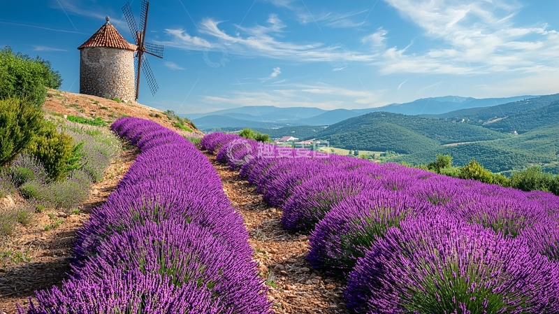 高清大图下载【趣麦麦图】薰衣草田风车蓝天白云