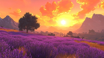 薰衣草田夕阳美景