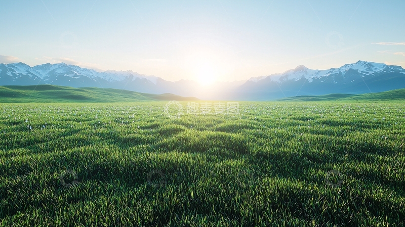 清晨草原雪山日出