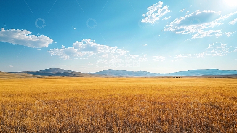 高清大图下载【趣麦麦图】金黄麦田蓝天白云