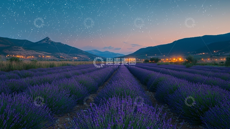 高清大图下载【趣麦麦图】星空下的薰衣草田