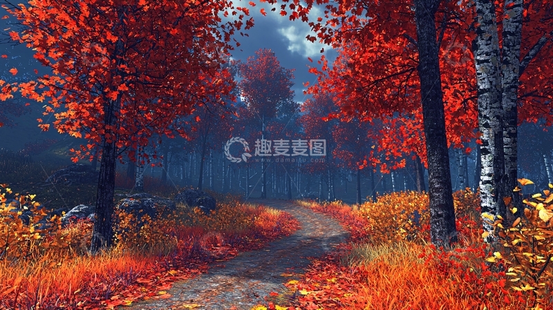 高清大图下载【趣麦麦图】秋日红叶森林小路