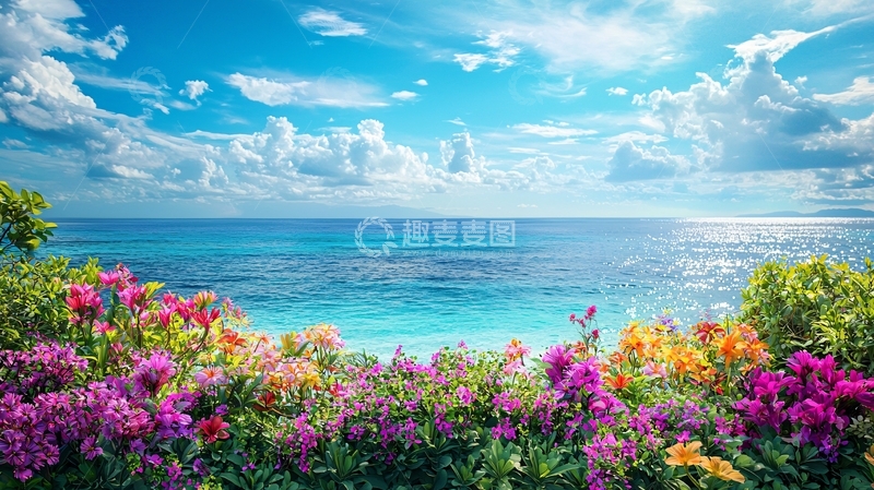 高清大图下载【趣麦麦图】海边鲜花蓝天白云