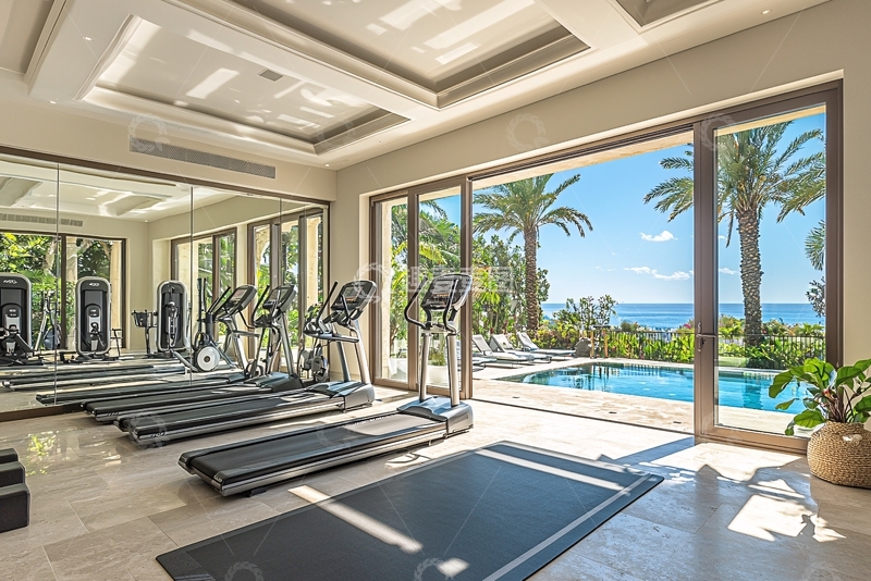 高清大图下载【趣麦麦图】高端私家健身房