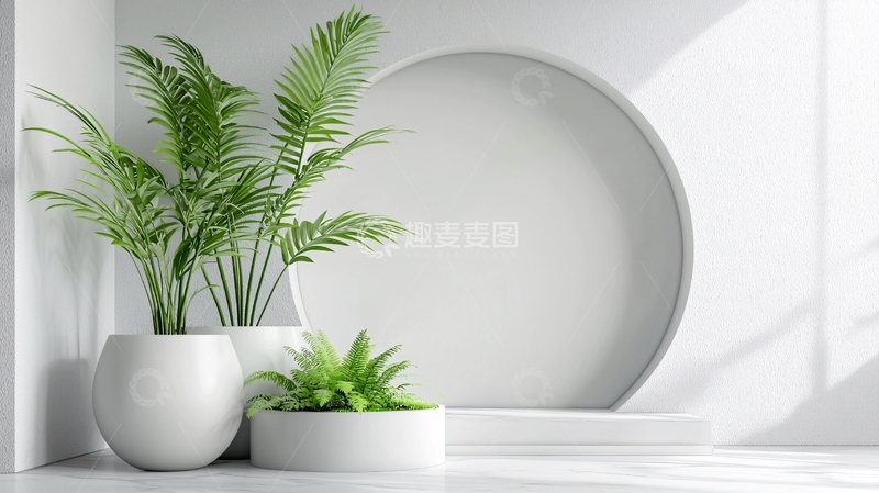 高清大图下载【趣麦麦图】极简白墙绿植盆栽背景