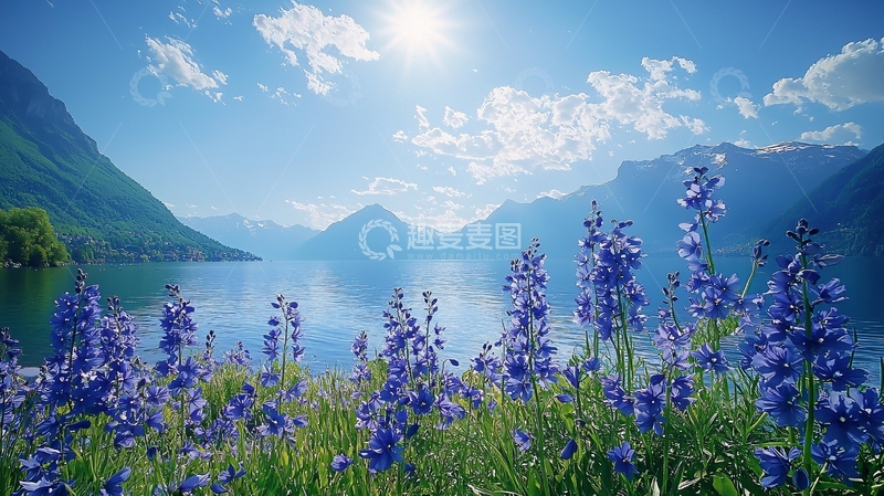 高清大图下载【趣麦麦图】阳光明媚山湖蓝花
