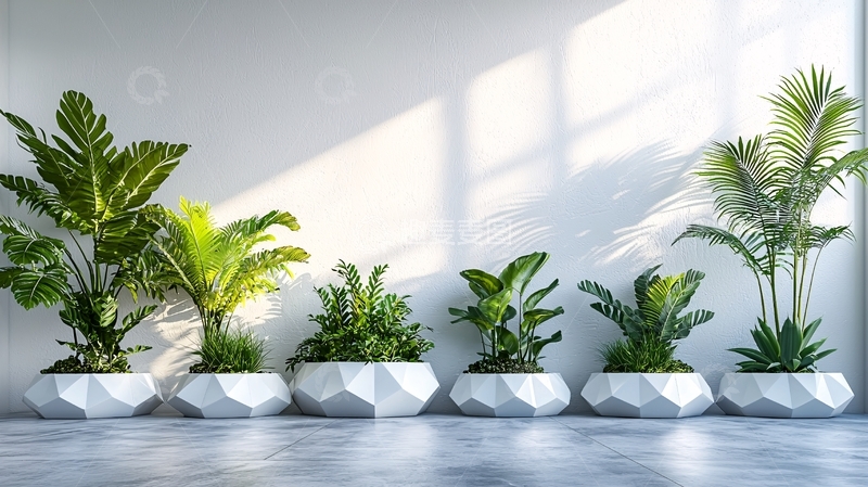 高清大图下载【趣麦麦图】极简风格室内绿植摆设