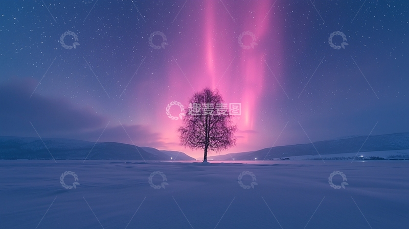 高清大图下载【趣麦麦图】极光下的孤树