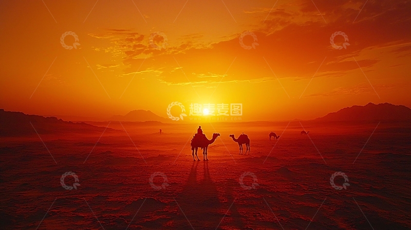 高清大图下载【趣麦麦图】沙漠落日驼影