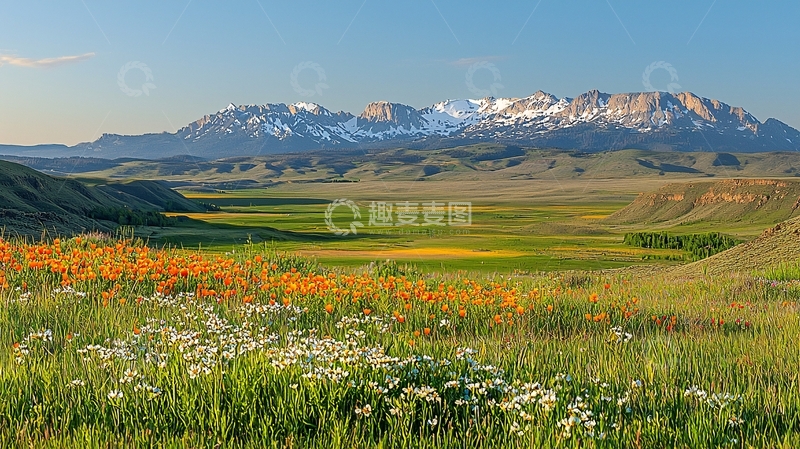 高清大图下载【趣麦麦图】山脉草原鲜花盛开