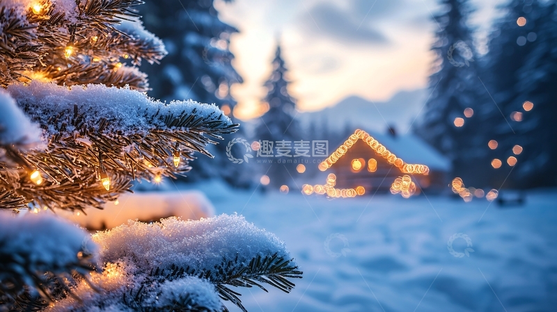 高清大图下载【趣麦麦图】雪中圣诞树