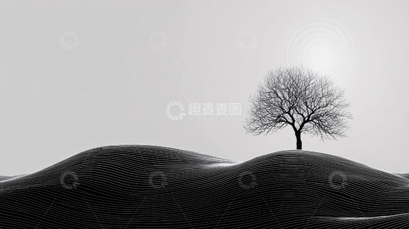 高清大图下载【趣麦麦图】黑白照片