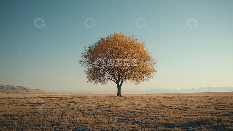 高清大图下载【趣麦麦图】秋日草原上的孤树