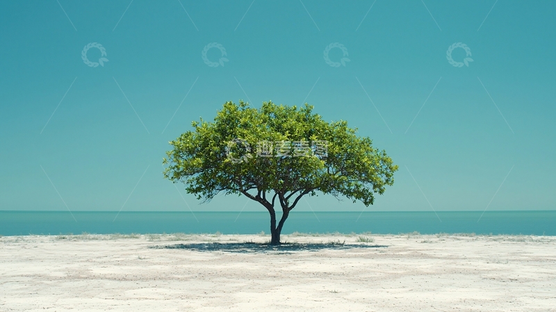 高清大图下载【趣麦麦图】蓝天白云下沙滩上的绿树