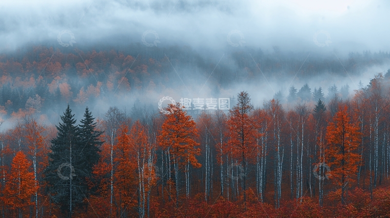 高清大图下载【趣麦麦图】雾气笼罩下的秋色山林