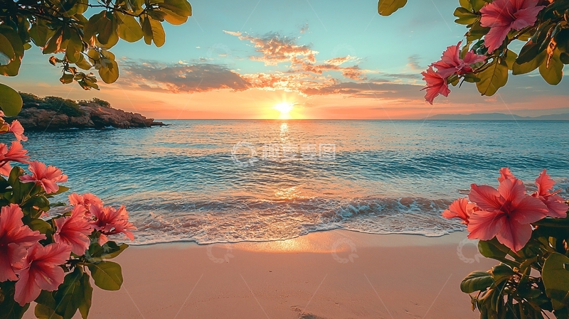 高清大图下载【趣麦麦图】海边日落花朵景色