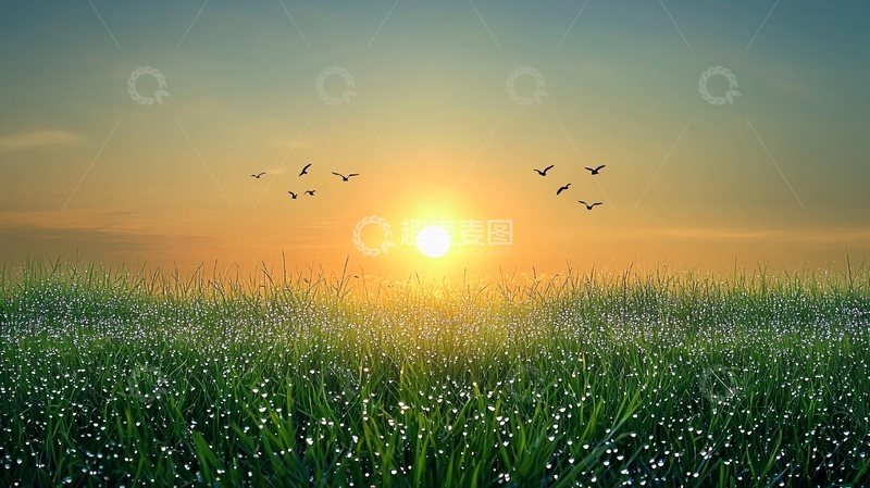 高清大图下载【趣麦麦图】清晨草原日出