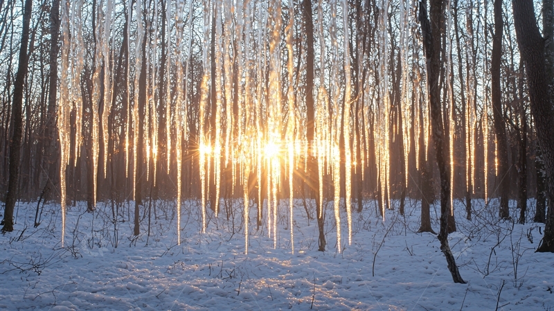 高清大图下载【趣麦麦图】冰雪森林日出
