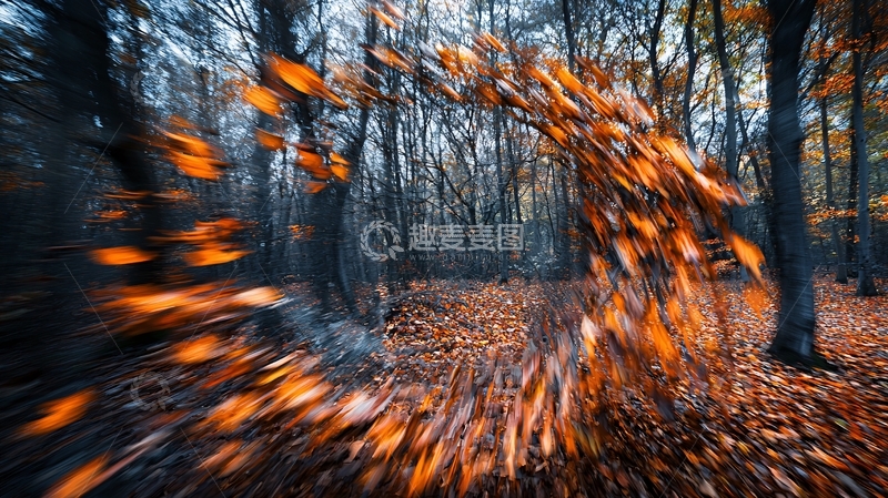 高清大图下载【趣麦麦图】秋叶飞舞森林旋风