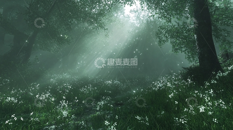 高清大图下载【趣麦麦图】雾气森林