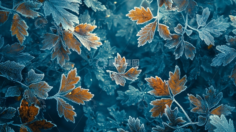 高清大图下载【趣麦麦图】蓝绿色调植物叶子