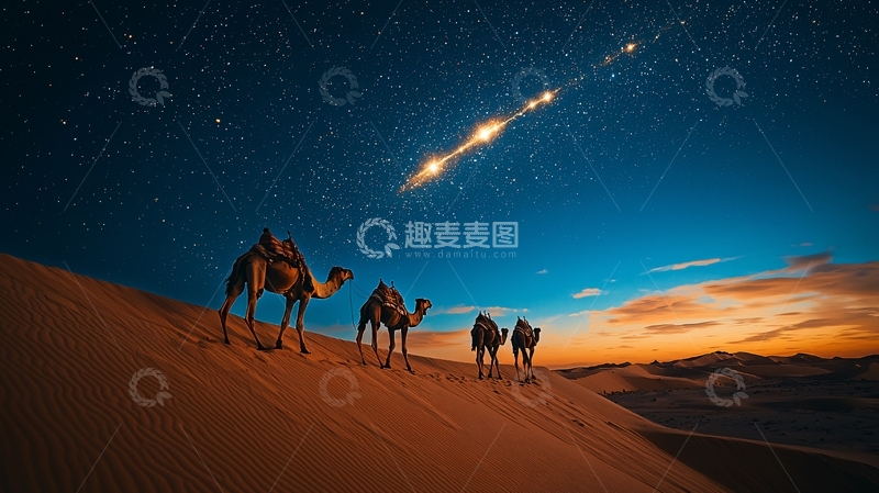 高清大图下载【趣麦麦图】沙漠骆驼星空
