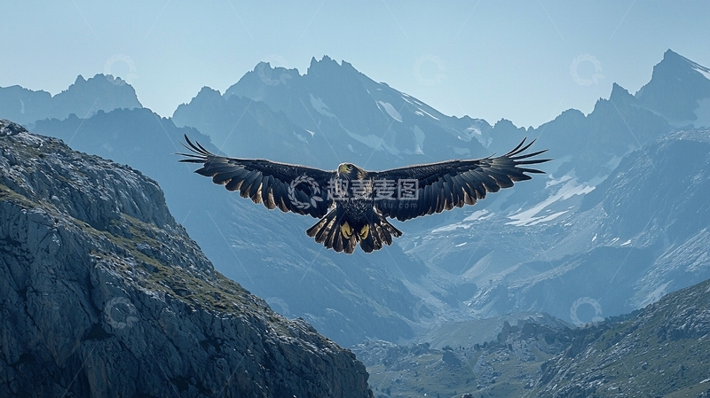 高清大图下载【趣麦麦图】雄鹰展翅飞翔山峦