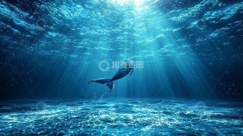 高清大图下载【趣麦麦图】深海人鱼唯美意境图