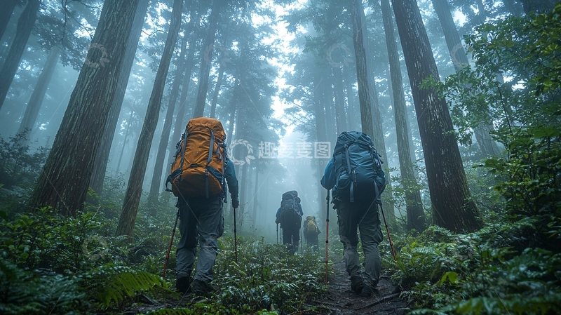 高清大图下载【趣麦麦图】雾气森林徒步旅行