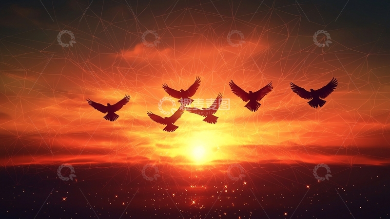 高清大图下载【趣麦麦图】夕阳下飞翔的鸟群
