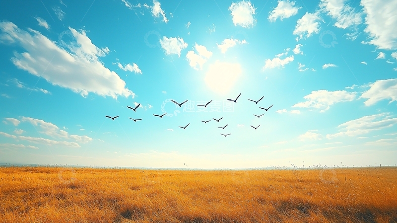 高清大图下载【趣麦麦图】蓝天白云飞鸟草原
