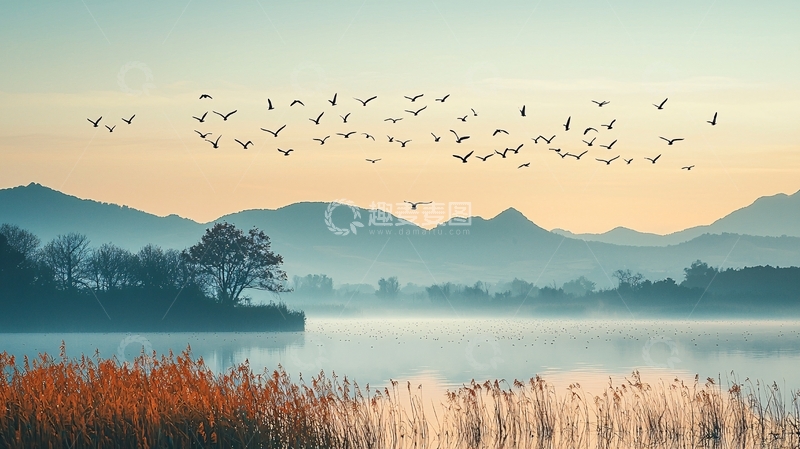 高清大图下载【趣麦麦图】清晨湖边飞鸟群