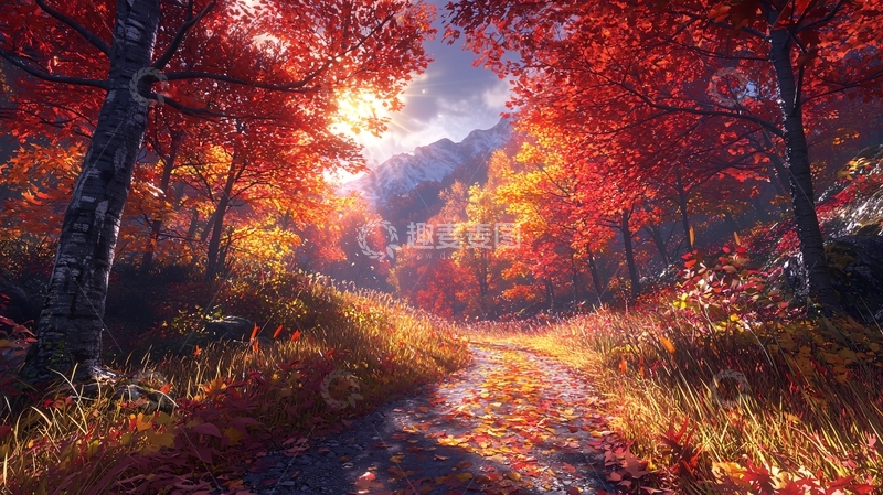 高清大图下载【趣麦麦图】秋日森林小路