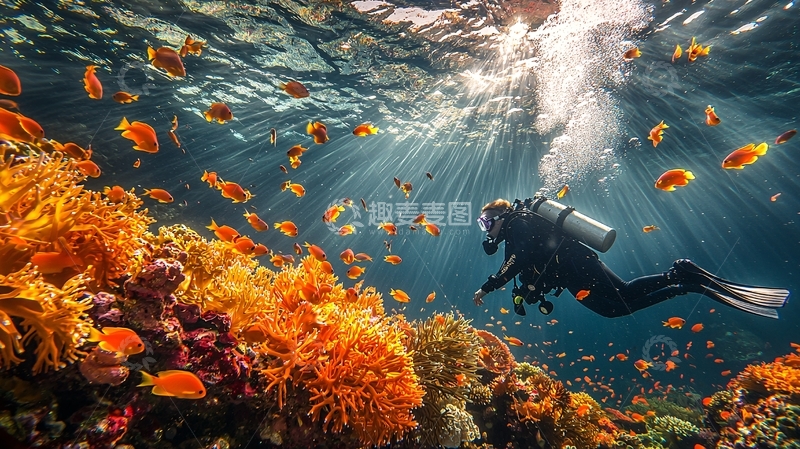 高清大图下载【趣麦麦图】潜水员与珊瑚礁鱼群