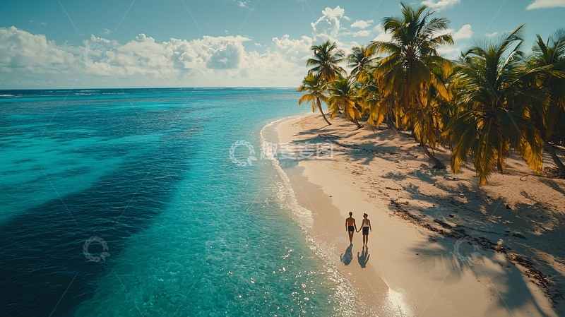 高清大图下载【趣麦麦图】热带海滩椰林情侣漫步