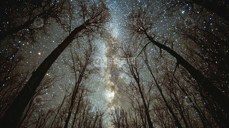 高清大图下载【趣麦麦图】星空树林