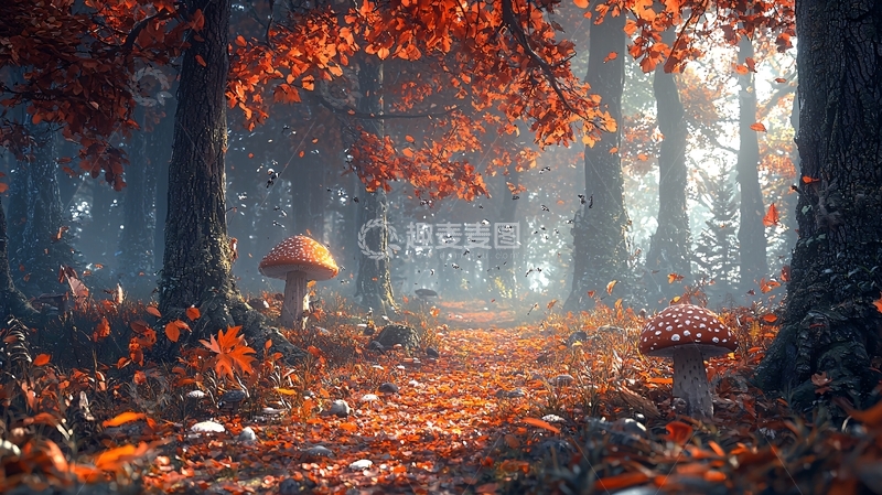 高清大图下载【趣麦麦图】秋日森林小路