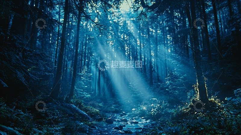 高清大图下载【趣麦麦图】深蓝森林溪流阳光